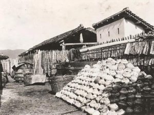 nHỮNG tĨN NƯỚC MẮM TẠI PHAN THIẾT
