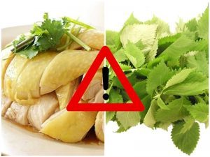 Thịt gà và rau kinh giới ăn cùng nhau gây ngộ độc
