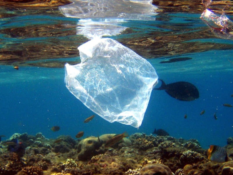 không thải rác nhựa ra biển