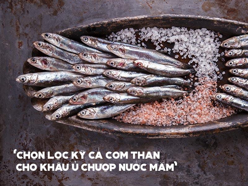 Chọn lọc cá cơm than trước khi làm mắm