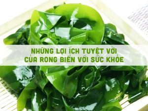 những lợi ích tuyệt vời của rong biển đối với sức khỏe