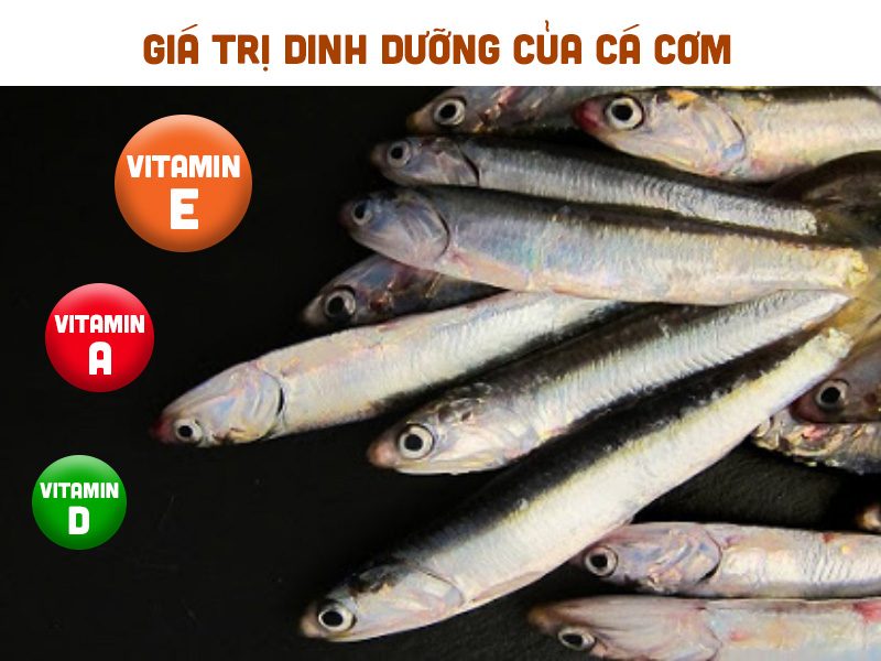 Giá Trị Dinh Dưỡng Của Cá Cơm