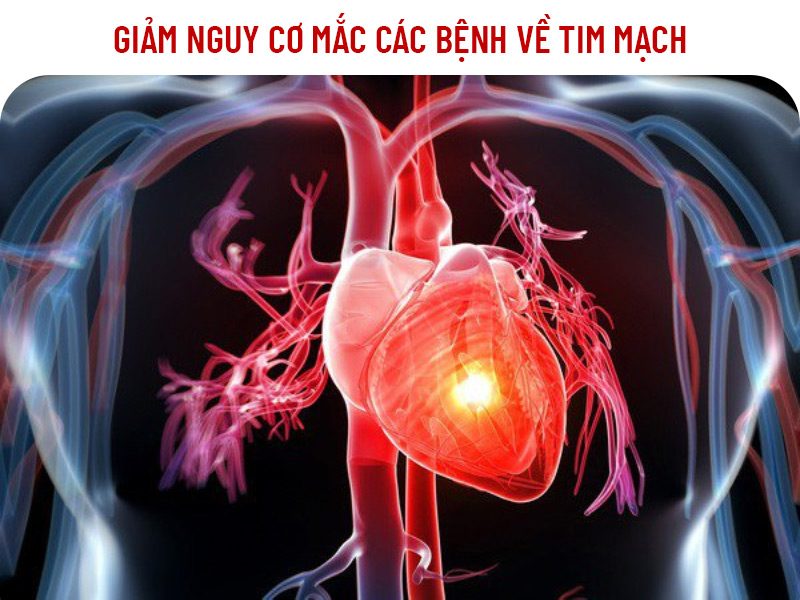 ăn chay để giảm bênh tim mạch
