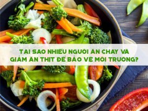 tại sao nhiều người ăn chay giảm thịt để bảo vệ môi trường