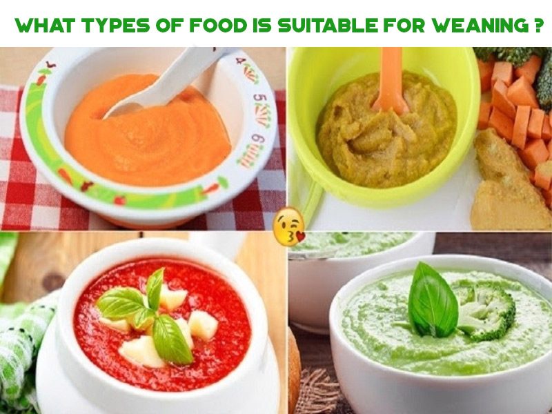 What Types Of Food Is Suitable For Weaning?