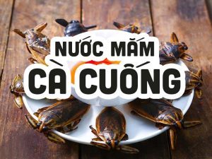 nước mắm cà cuống
