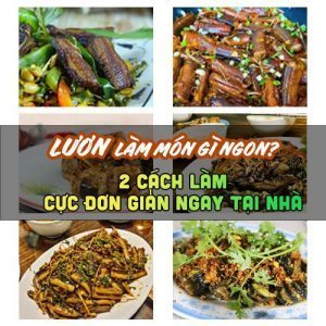 LƯƠN LÀM MÓN GÌ NGON VỚI 2 CÁCH LÀM CỰC ĐƠN GIẢN NGAY TẠI NHÀ