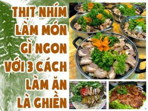 THỊT NHÍM LÀM MÓN GÌ NGON VỚI 3 CÁCH LÀM ĂN LÀ GHIỀN