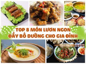 TOP 8 MÓN LƯƠN NGON ĐẦY BỔ DƯỠNG CHO GIA ĐÌNH