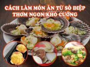 5 Cách Làm Món Ăn Từ Sò Điệp Thơm Ngon Khó Cưỡng