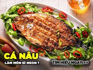 CÁ NÂU LÀM MÓN GÌ NGON? TÌM HIỂU NGAY