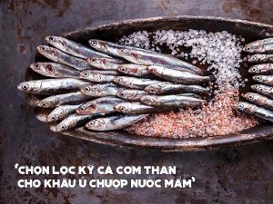 Nước mắm thịt cá sánh đặc: Sự lựa chọn hoàn hảo cho gia đình