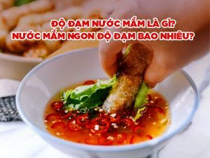 ĐỘ ĐẠM NƯỚC MẮM LÀ GÌ? NƯỚC MẮM NGON ĐỘ ĐẠM BAO NHIÊU?