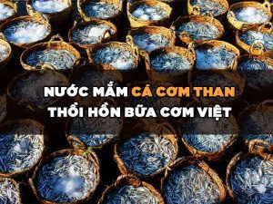 Cá cơm than - "Nguyên liệu vàng ngọc" từ biển cả