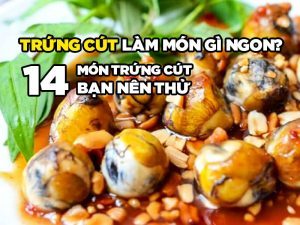 TRỨNG CÚT LÀM MÓN GÌ NGON? 14 MÓN BẠN NÊN THỬ