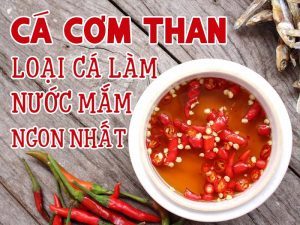 Tại sao cá cơm than lại quý hiếm?