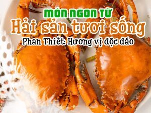 Món ngon từ hải sản tươi sống Phan Thiết: Hương vị độc đáo