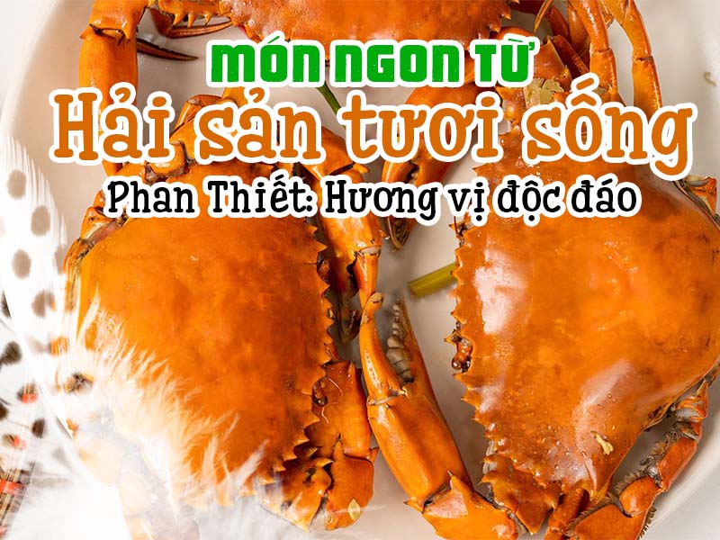 Món ngon từ hải sản tươi sống Phan Thiết: Hương vị độc đáo