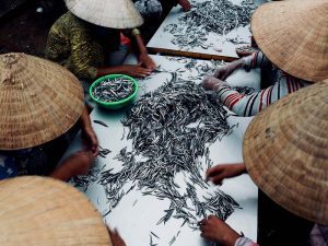 Nước mắm Tĩn - Bí quyết tạo nên thương hiệu: