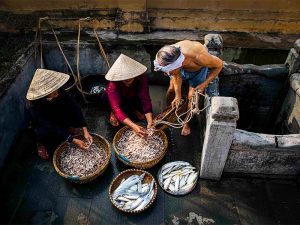 Tại sao nên chọn nước mắm Tĩn?