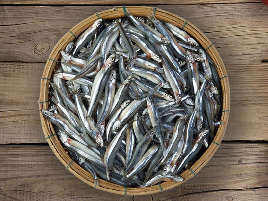 Điểm Nổi Bật Thăng Hạng "Nước Mắm Tĩn"