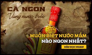 Muốn biết nước mắm nào ngon nhất? Hãy đọc ngay!
