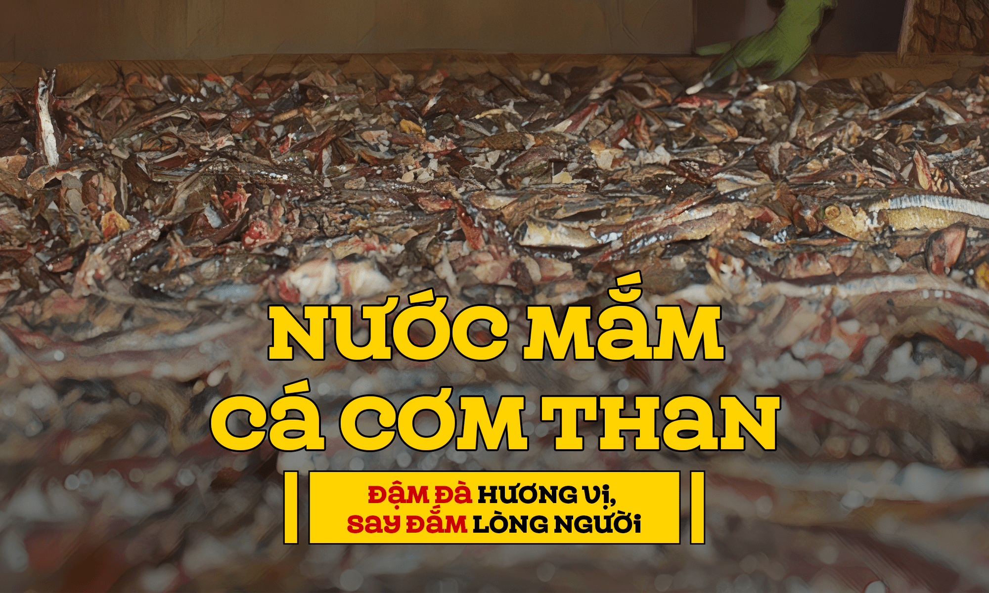 Nước mắm cá cơm than đậm đà hương vị, say đắm lòng người