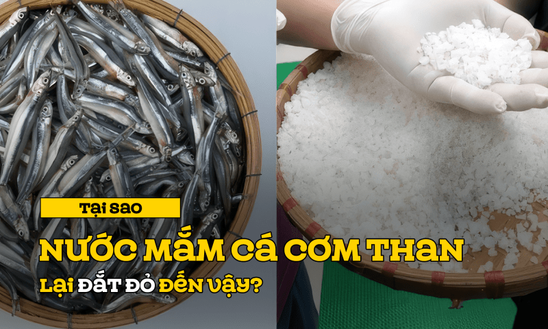 Tại sao nước mắm cá cơm than đắt đỏ đến vậy?