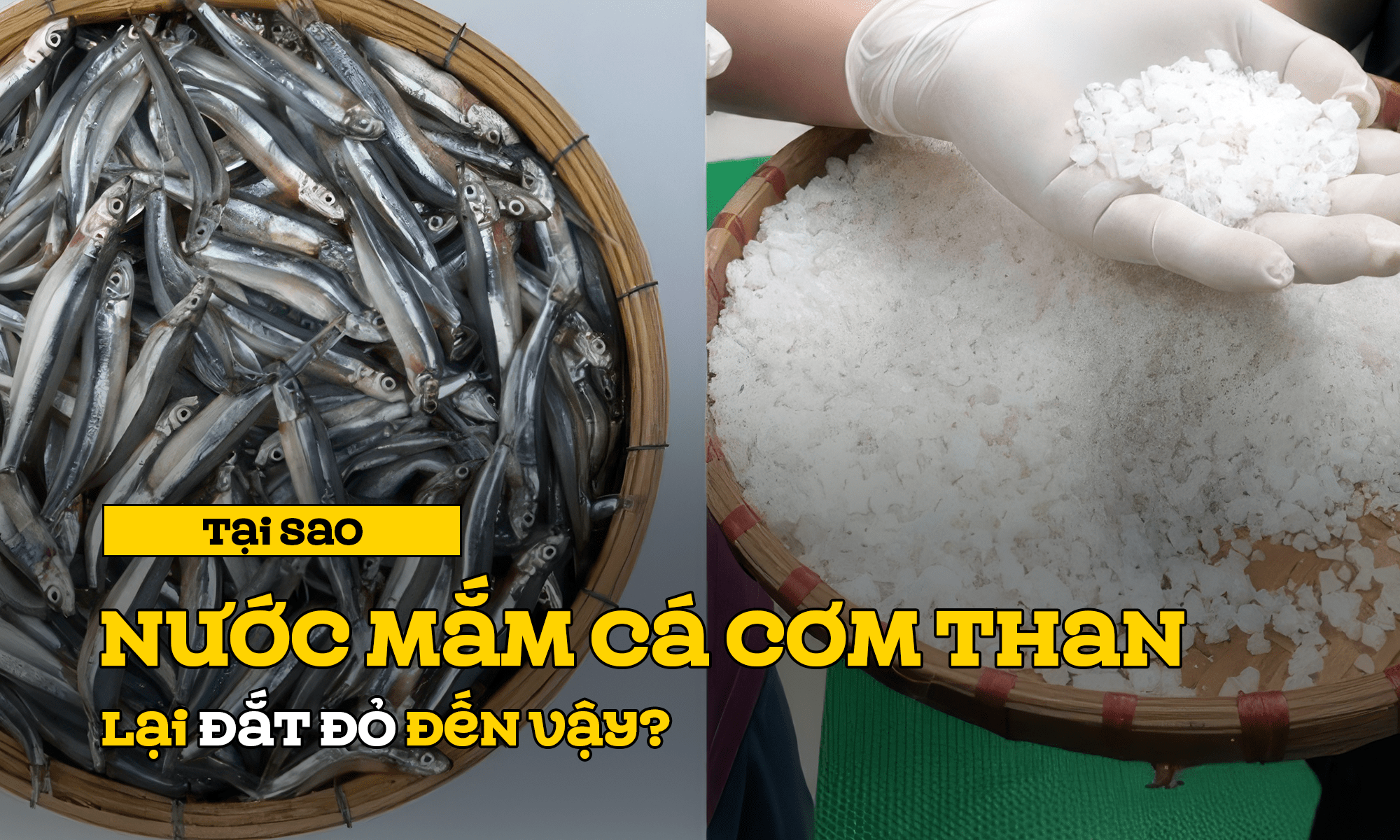 Tại sao nước mắm cá cơm than đắt đỏ đến vậy?