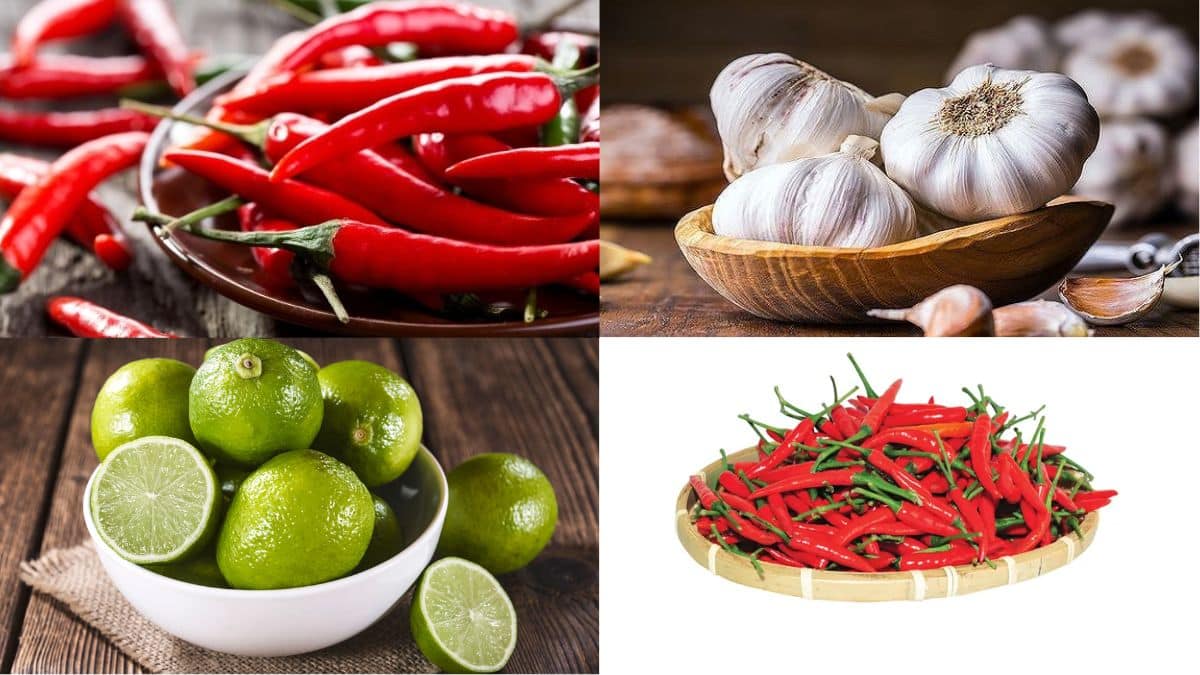 Hương vị đậm đà với nước mắm tự pha