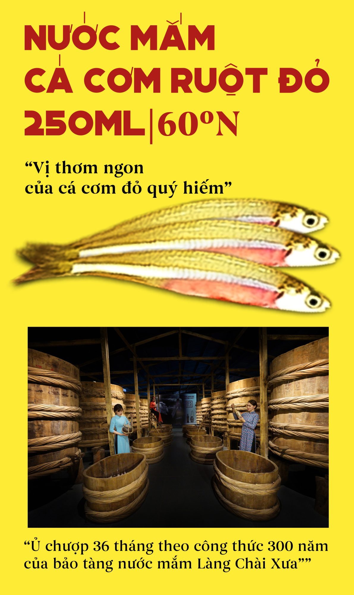 Nước Mắm Tĩn