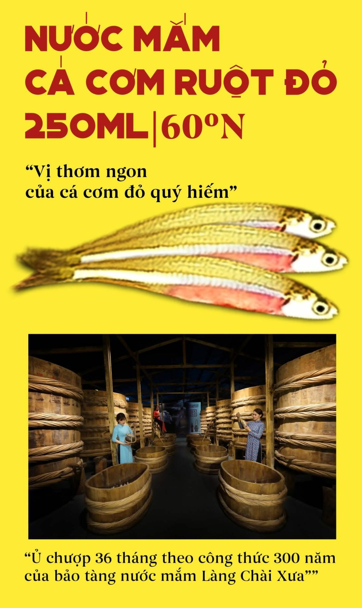 Nước Mắm Tĩn